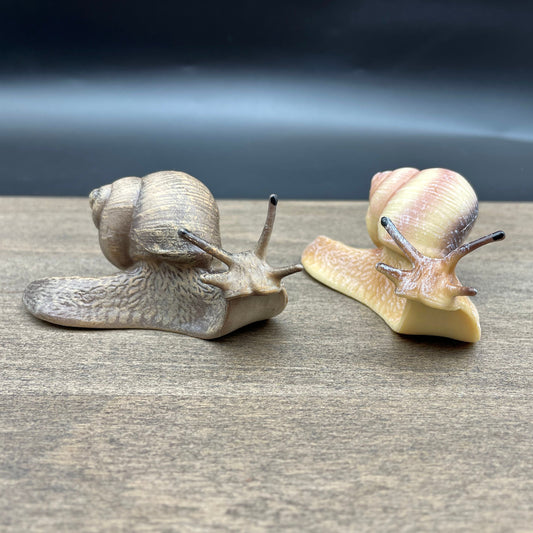 Snails. Garden and Burgundy Species. Lifelike Size